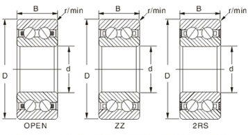 Double Row Deep Groove Ball Bearing