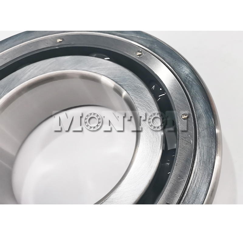 MTS6320PTSN  Low temperature bearing for LNG pump