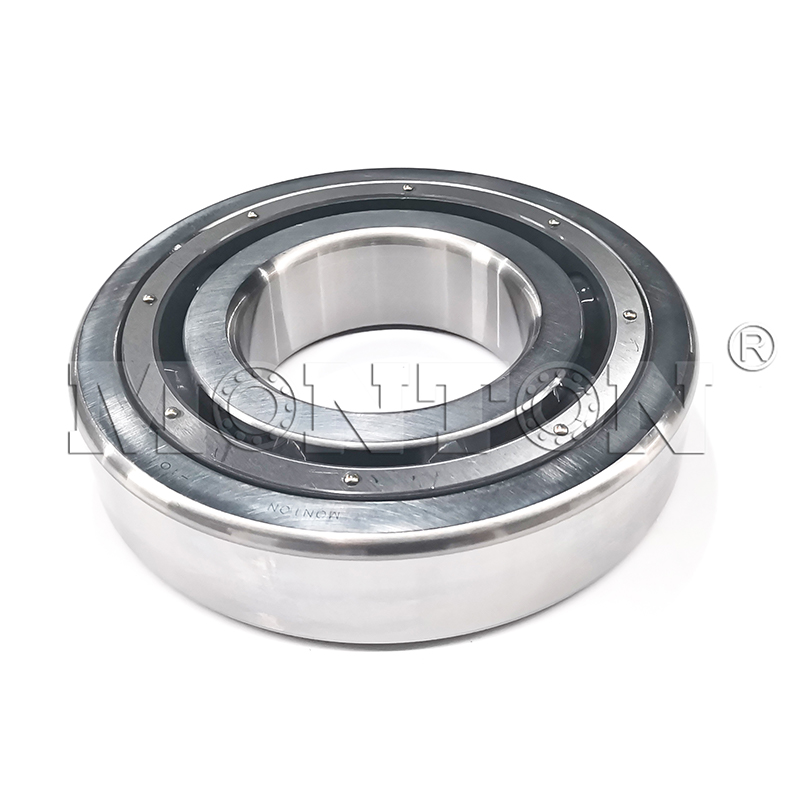 MTS6320PTSN  Low temperature bearing for LNG pump