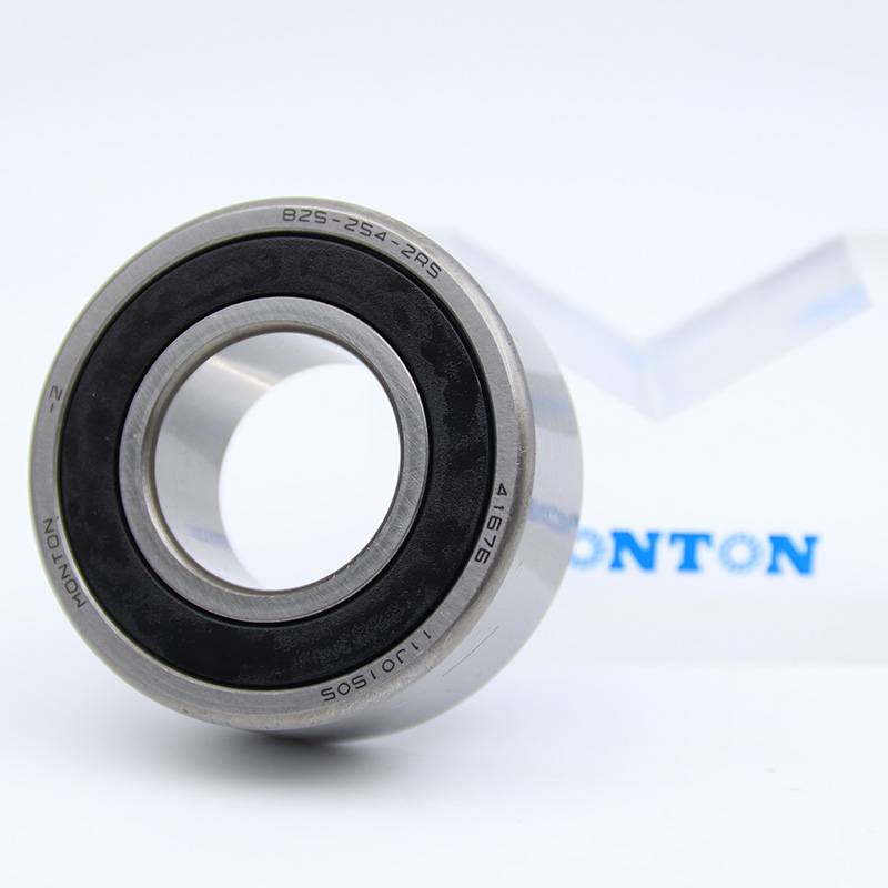 B25-254-2RS Servo motor bearing