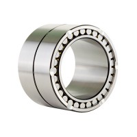 Four Row Cylindrical Roller Bearing