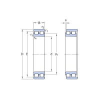 Double Row Cylindrical Roller Bearing