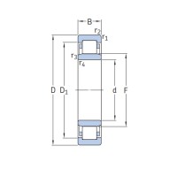 Insocoat Cylindrical Roller Bearing