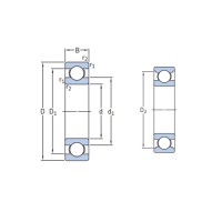 Insocoat Deep Groove Ball Bearing