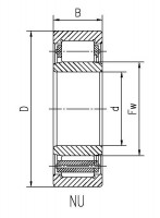 Full Complement Cylindrical Roller Bearing